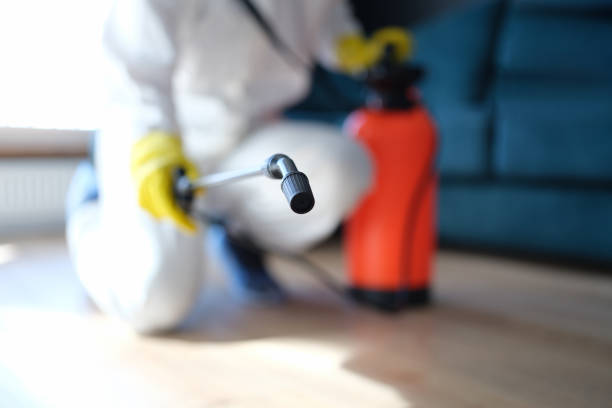 Mold Odor Removal Services in Lake Worth, TX